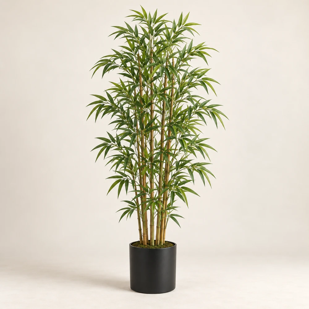 Several natural bamboo canes with narrow green leaves in a black cylindrical pot.