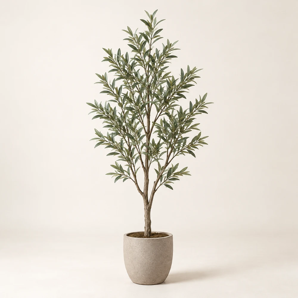 Slim olive tree with small narrow olive-green leaves and gray-beige pot, no fruit.