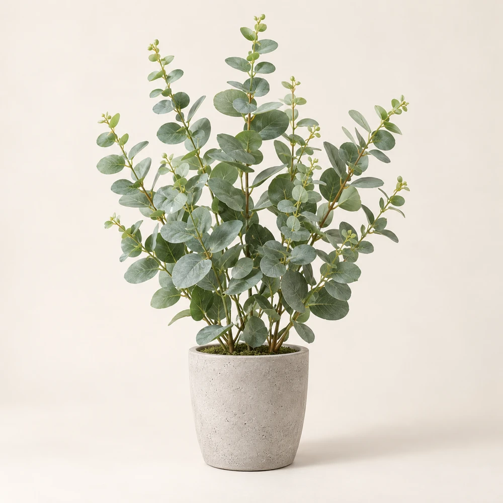 Upright silver-green eucalyptus branches in a light-gray cement pot.